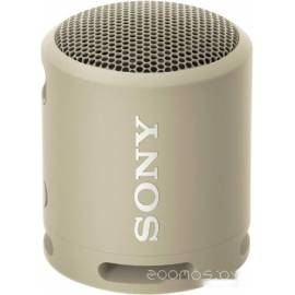Портативная акустика Sony SRS-XB13 (серо-коричневый)