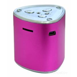 Портативная акустика Ritmix SP-060 Pink
