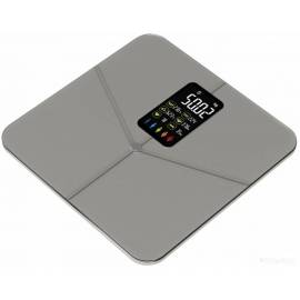 Напольные весы SecretDate Smart SD-IT01G